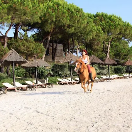 Apart Otel Cala Sultana Porto-Vecchio (Corsica)